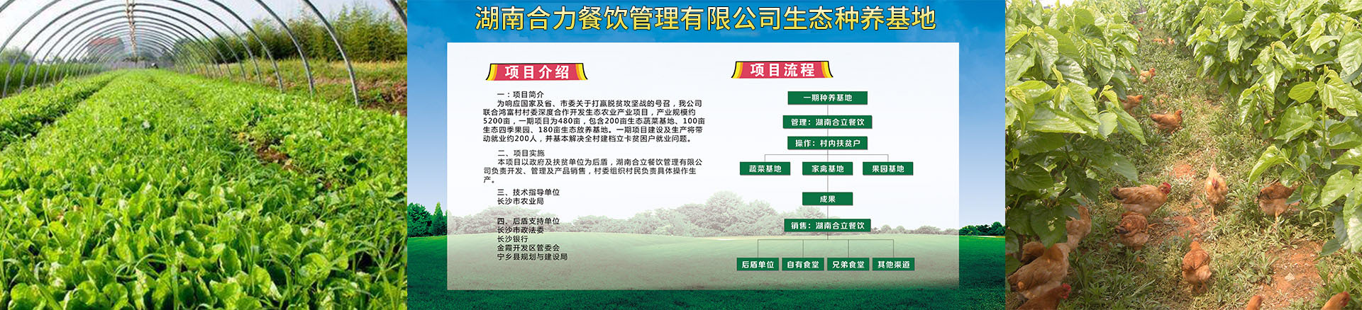 食堂承包|食堂托管|湖南食堂承包|長沙食堂承包|蔬菜配送|廚具安裝|湖南合立餐飲管理有限公司