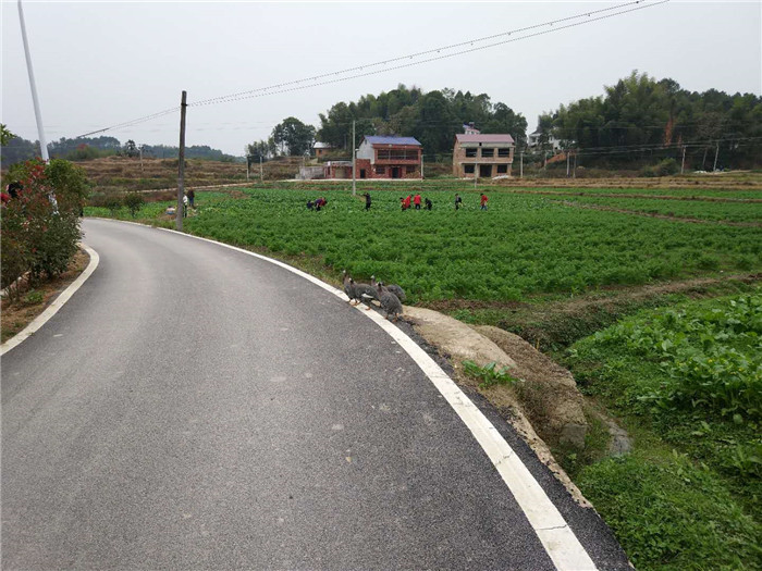 長沙食堂托管,湖南食堂承包,生態(tài)養(yǎng)殖,蔬菜配送,物料配送,廚房設計